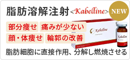 脂肪溶解注射 カベリン 脂肪細胞に直接作用、分解し燃焼させる